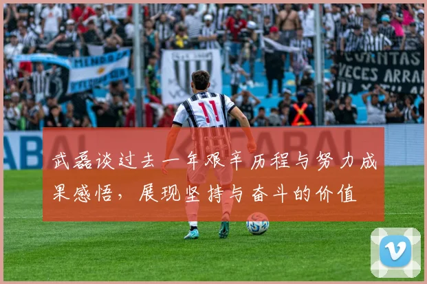 武磊谈过去一年艰辛历程与努力成果感悟，展现坚持与奋斗的价值